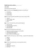 Đề thi HKI ngữ Văn 6