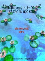 bai 10 Vai trò của giống và PP chon tao giống cây trồng