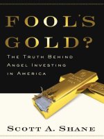 shane - fool's gold; the truth behind angel investing in america (2009)