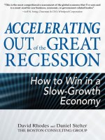 rhodes & stelter - accelerating out of the great recession; how to win in a slow-growth economy (2010)