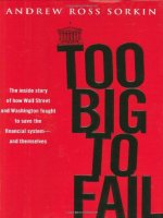 sorkin - too big to fail (2009)
