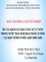 KHẢO sát KHẢ NĂNG xử lý NITƠ TRONG nước THẢI SINH HOẠT BẰNG VI SINH vật KHỬ NITRIT ở điều KIỆN HIẾU KHÍ