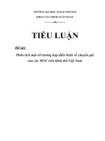 phân tích một số trường hợp điển hình về chuyển giá của các mnc trên lãnh thổ việt nam