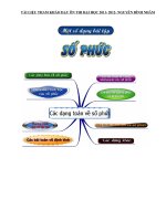 SKKN CAC DANG TOAN SO PHUC