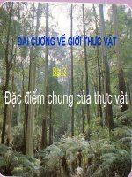 đặc điển chung của thực vật