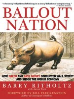 ritholtz - bailout nation; how greed and easy money corrupted wall street and shock the world economy (2009)