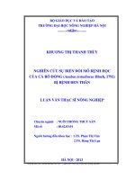 Nghiên cứu sự biến đổi mô bệnh học của cá rô đồng (anabas testudineus bloch, 1792) bị bệnh đen thân