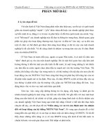 tiềm năng và vai trò của đmtn đối với ngân hàng thương mại việt nam