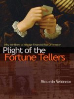 rebonato - plight of the fortune teller; why we need to manage financial risk differently (2007)