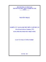 Nghiên cứu tạo đa bội thể trên cá ro phi vằn (oreochromis niloticus linnaeus, 1757) bằng phương pháp sốc nhiệt nóng