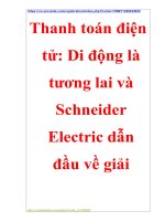 Chuyên đề kinh doanh trực tuyến  thanh toán điện tử di động là tương lai và schneider electric dẫn đầu về giải pháp hạ tầng TTDL