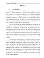 LUẬN VĂN: “Hoàn thiện công tác kế toán tiền lương và các khoản trích theo lương đối với đơn vị hành chính sự nghiệp tại Cục Hải quan tỉnh Thừa Thiên Huế”