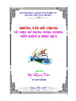 NHUNG VAN DE CHUNG VE SU DUNG NANG LUONG TIET KIEM - HIEU QUA
