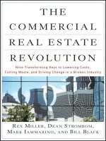 miller et al - the commercial real estate revolution (2009)