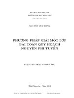 phương pháp giải một lớp bài toán quy hoạch nguyên phi tuyến