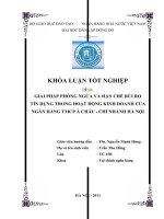 giải pháp phòng ngừa và hạn chế rủi ro tín dụng tại ngân hàng tmcp á châu - chi nhánh hà nội