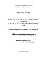 phân tích báo cáo tài chính tổng công ty cổ phần vật tư nông nghiệp nghệ an