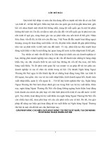 giải pháp nâng cao hiệu quả hoạt động tài trợ xuất khẩu tại chi nhánh ngân hàng thương mại cổ phần ngoại thương (vietcombank) hà nội