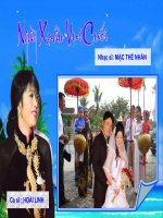 NGÀY XUÂN VUI CƯỚI