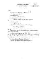 De Toan HKI Lop 11_danh cho lop chuyen chon