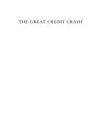 konings (ed.) - the great credit crash (2010)