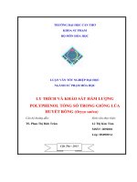 Ly trích và khảo sát hàm lượng phenol tổng số giống lúa đỏ (châu hạng võ)