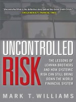williams - uncontrolled risk; the lessons of lehman brothers and how systemic risk can still bring down the world financial system (2010)