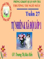 Bài 27. Tự nhiên xã hội: Con mèo