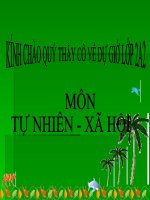 TNXH LỚP 2- CÂY SỐNG Ở ĐÂU?