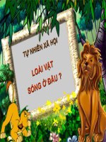 TNXH: LOÀI VẬT SỐNG Ở ĐÂU