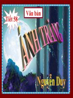 ÁNH TRĂNG (Nguyễn Duy)