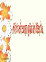 hình nền soạn giáo an điện tử