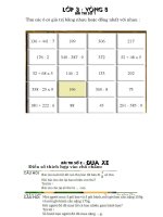 Toán - Violympic L3 - Vòng 8