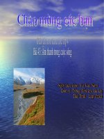 Tập làm giáo án  E-LEARNING - Khoa học 4