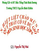 bai 32 cac loai qua ( rat hay)