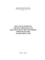 Báo cáo tự đánh giá chương trình đào tạo giáo viên trung học phổ thông trình độ đại học ngành tiếng anh