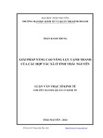 Giải pháp nâng cao năng lực cạnh tranh của các hợp tác xã ở tỉnh Thái Nguyên