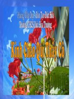 Tiết 21- Giới thiệu tranh dân gian việt nam