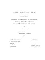 liquidity risk and asset pricing