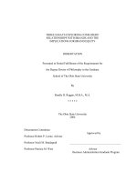 three essays exploring consumers' relationships with brands and the implications for brand equity