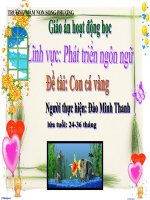 MTXQ 24- 36 nhận biết con cá vàng