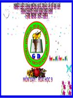 Tiết 39- Sơ lược bảng hệ thống tuần hoàn các nguyên tố hóa học