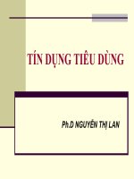 Bài giảng tín dụng tiêu dùng