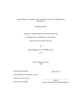 consumer categorization and evaluation of ambiguous products