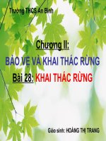 bài 28: khai thác rừng
