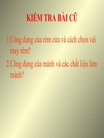 trang tri nha o bang cay canh_tai ve chi can day ko can chinh sua