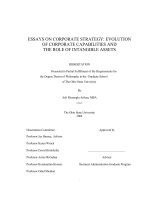 essays on corporate strategy- evolution of corporate capabilities and the role of intangible assets