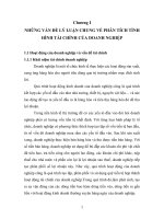 thực trạng tình hình tài chính và hiệu quả hoạt động của công ty cổ phần thăng long