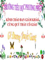 Nhu cầu chất khoáng của thực vật