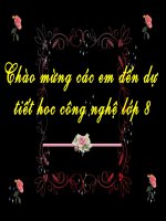 Bài 50:đặc điểm va cấu tạo mạng mạng trong nhà